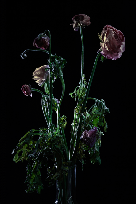 Still life - Marcella Fierro - Photography - Fotografia Bologna